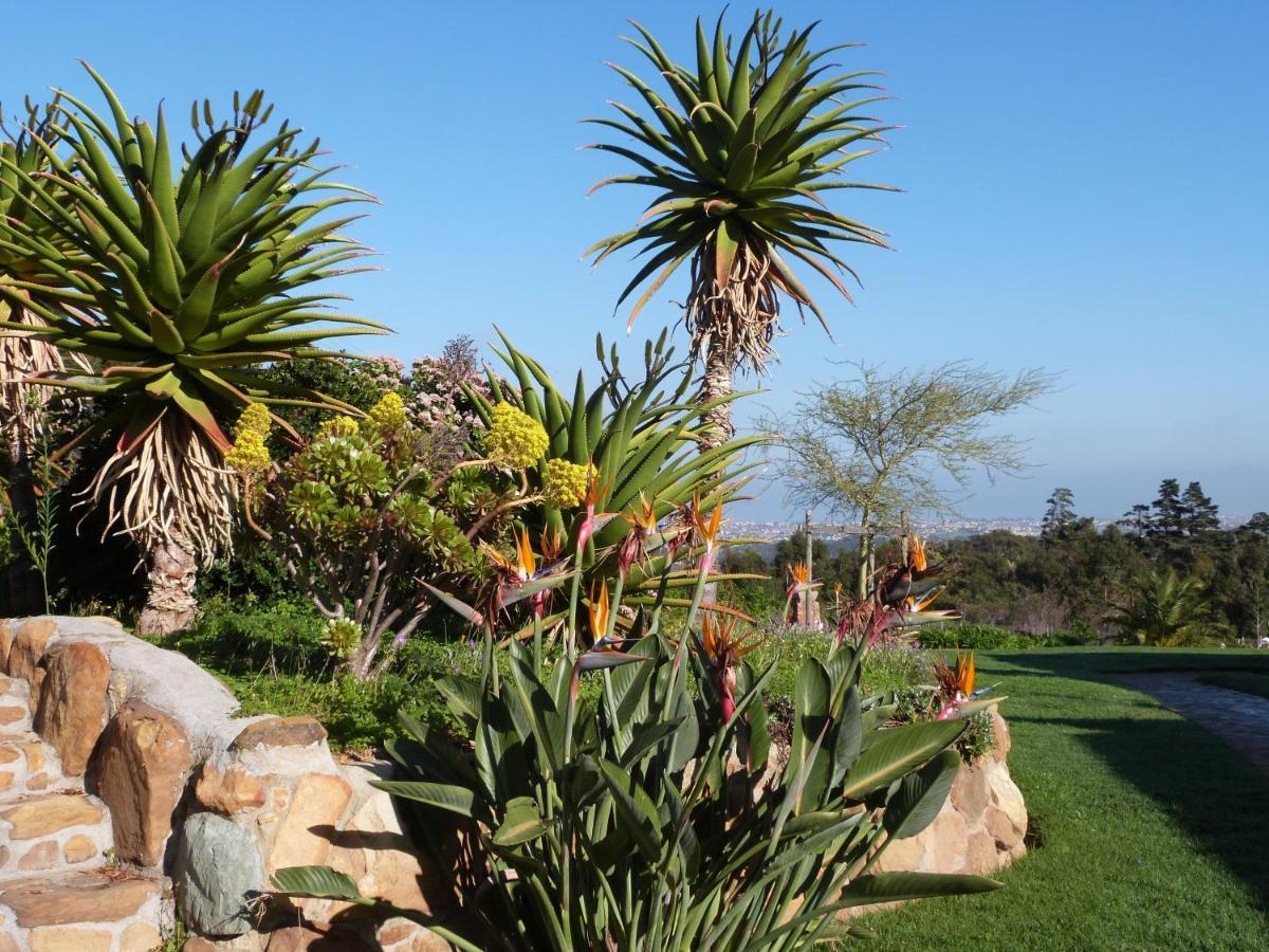 Apricot Gardens Guesthouse Gordons Bay Bagian luar foto