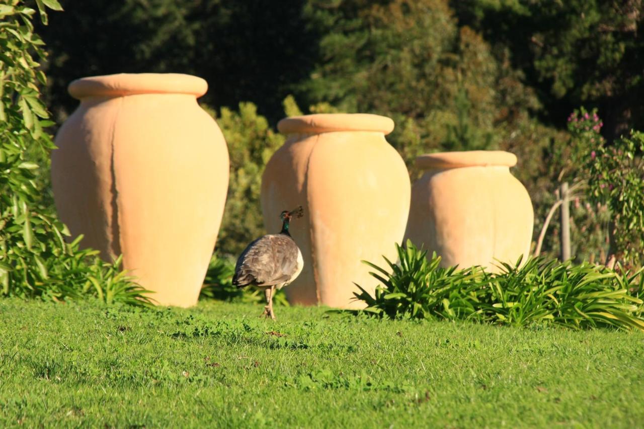 Apricot Gardens Guesthouse Gordons Bay Bagian luar foto